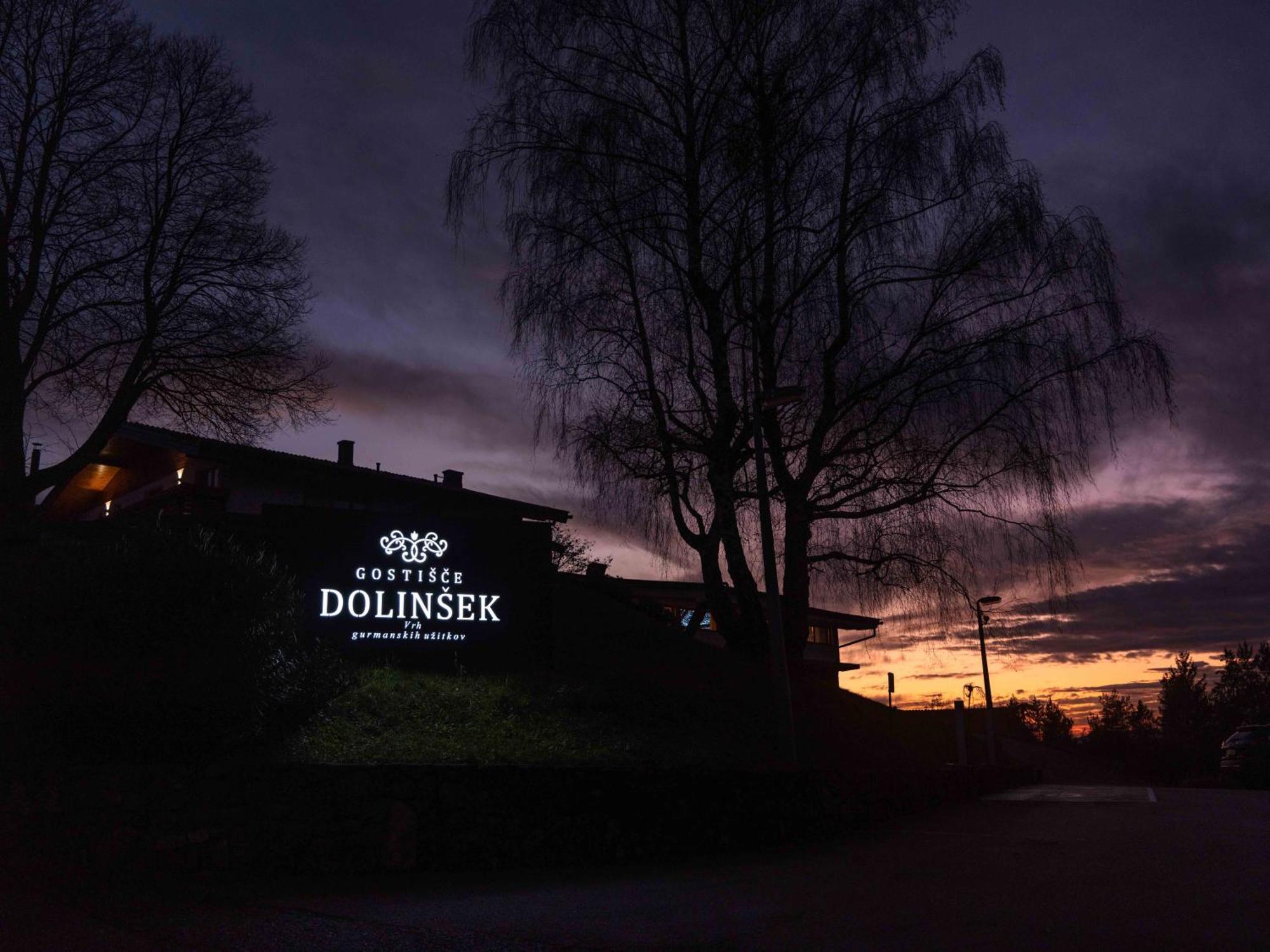 Guesthouse Dolinsek Sevnica Luaran gambar